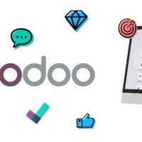 ما القطاعات التي يخدمها نظام أودو؟ دليل شامل للمبتدئين